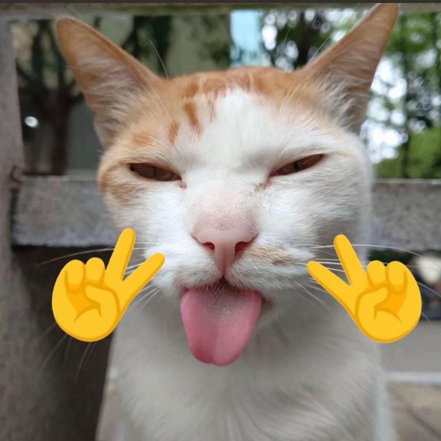 ziii.