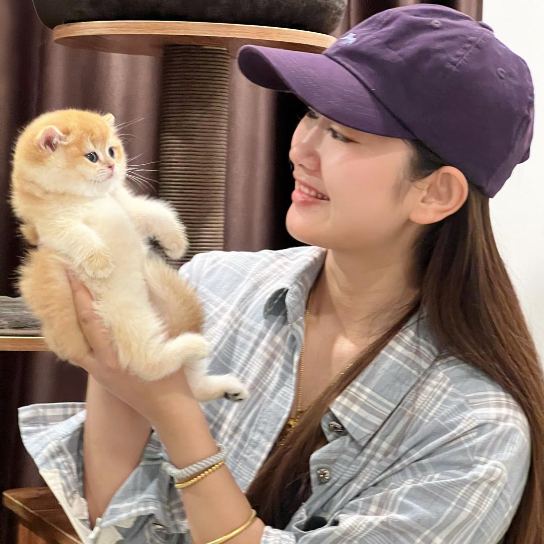 余教练的猫舍