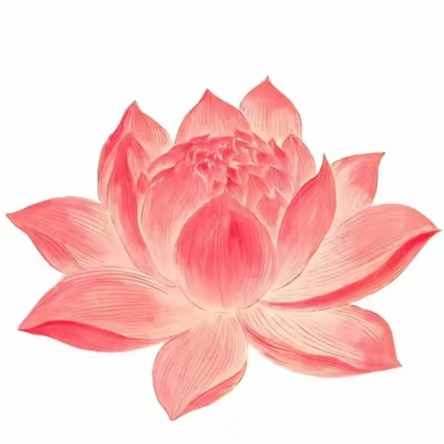 晅晅猪脚米线🪷