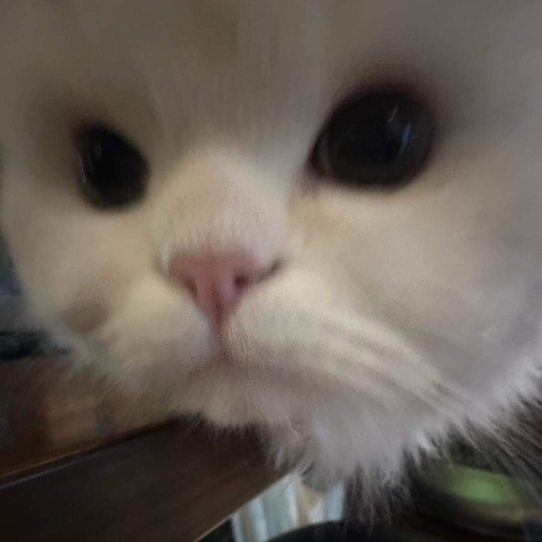 来颗反清闪