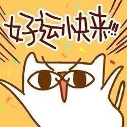 鱼鱼超好运