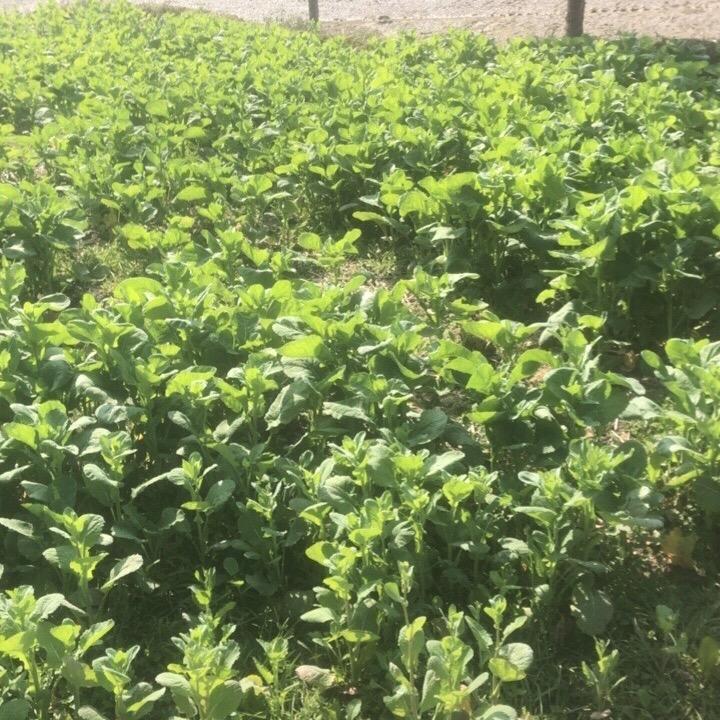 用户394210342241011.1