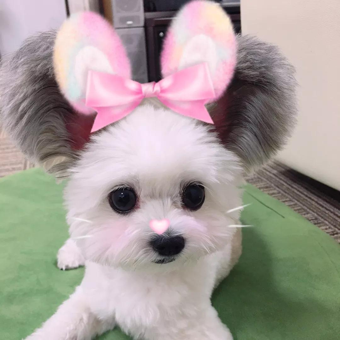 郑州正科洗石机洗砂机生产厂家