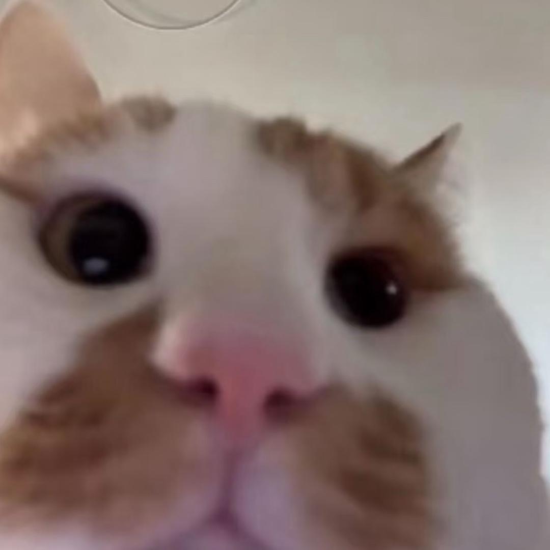 我要睡觉了ㅤㅤㅤㅤㅤㅤ