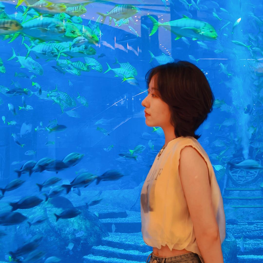 菜小白不是小白菜