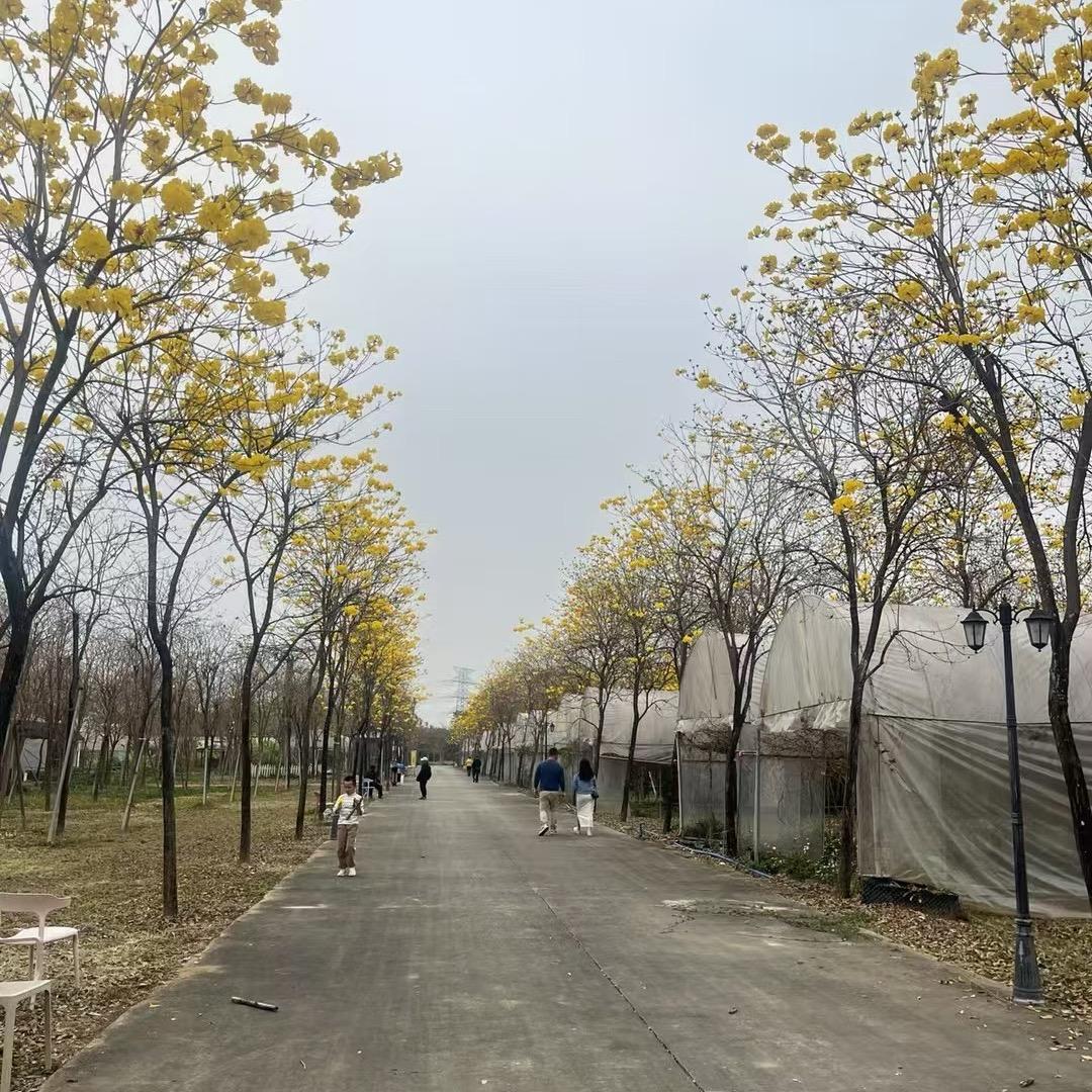 哇，好有型