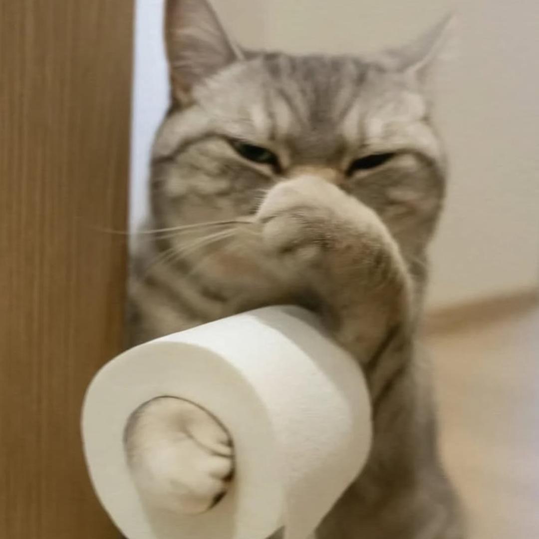 🫧
