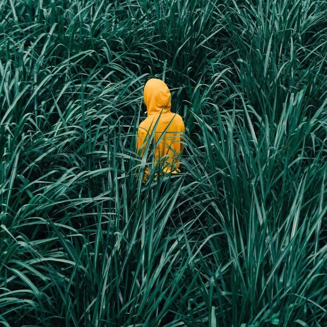 浮生不过梦一场