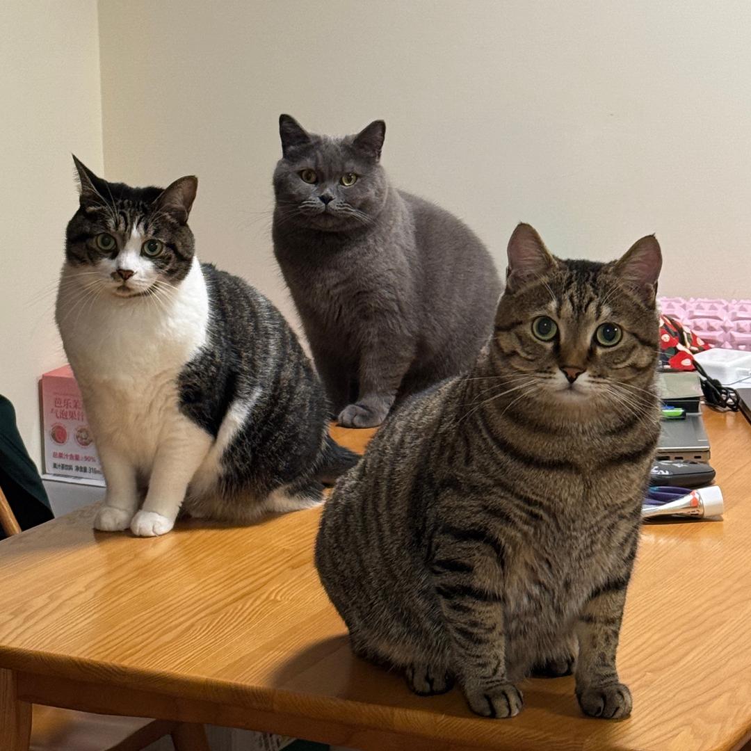 杨大智和他的兄妹们