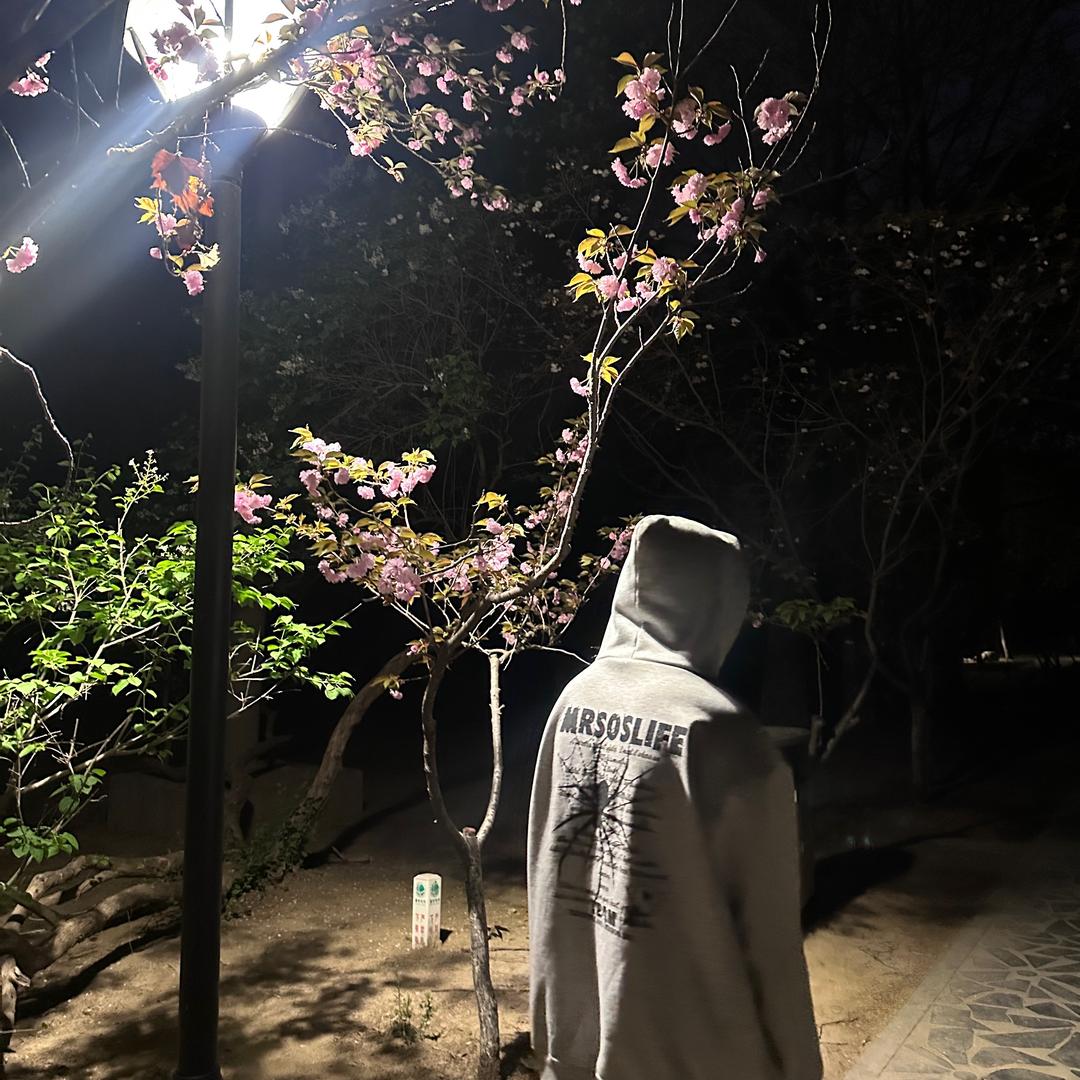 এ᭄顾城念ོꦿ࿐