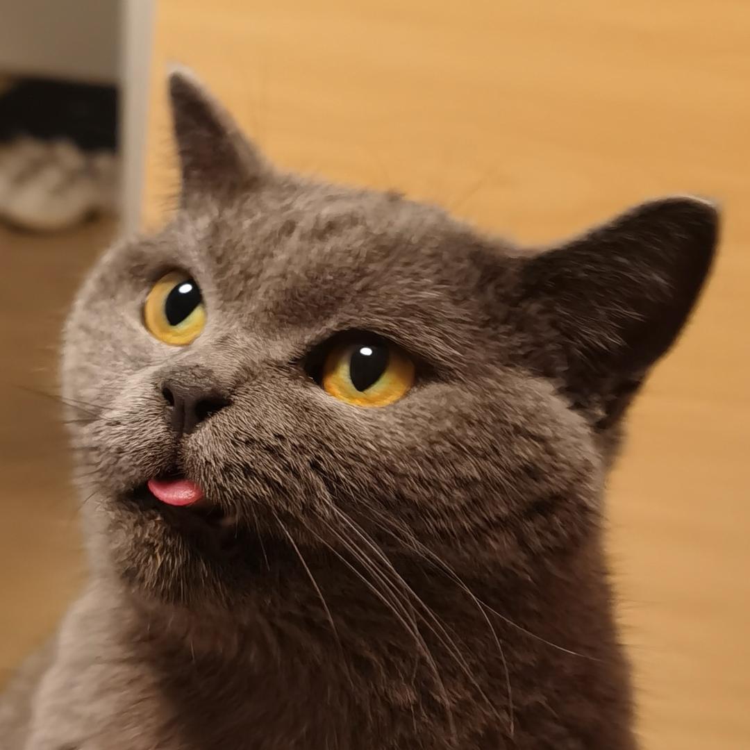 鱼奈好物