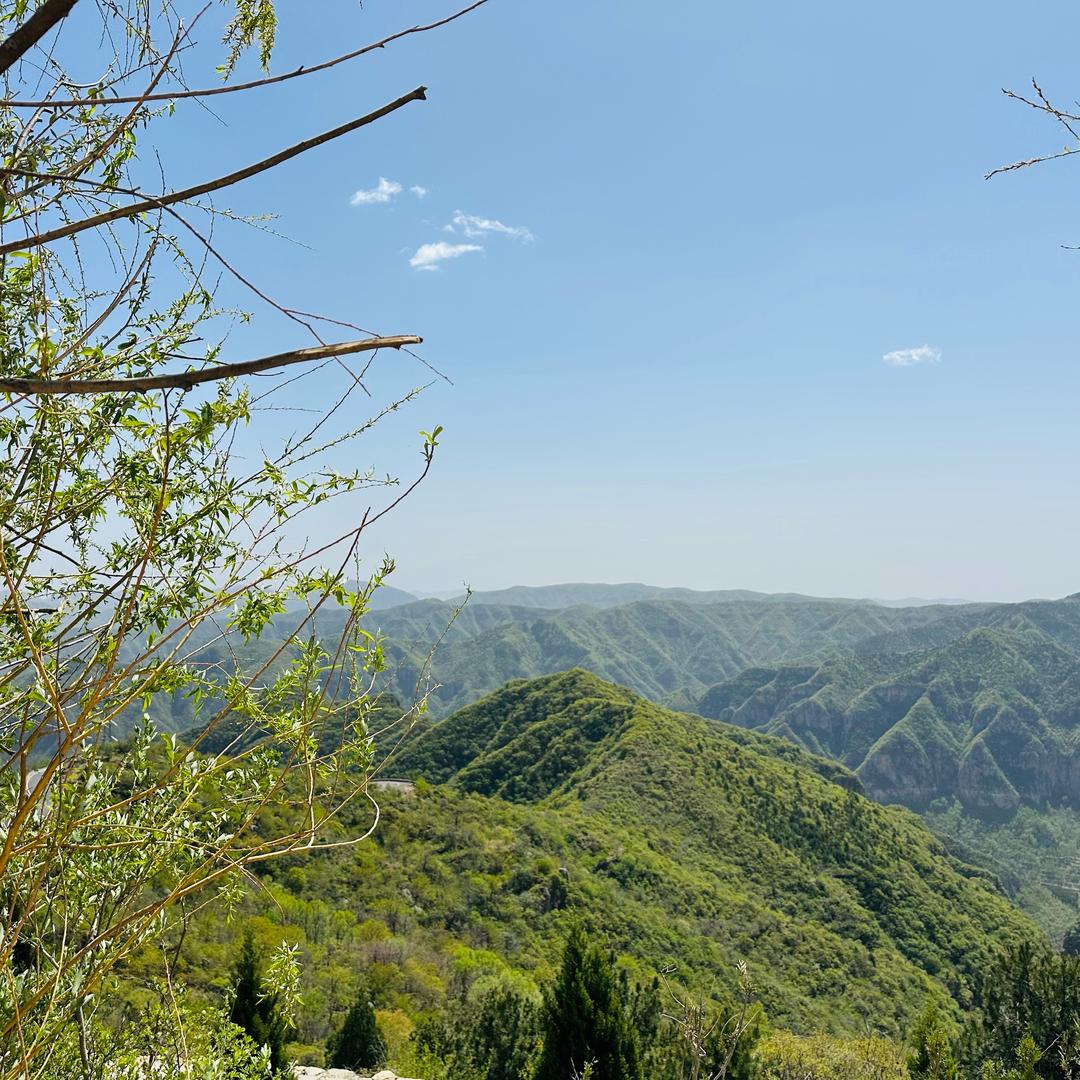 与我共鸣