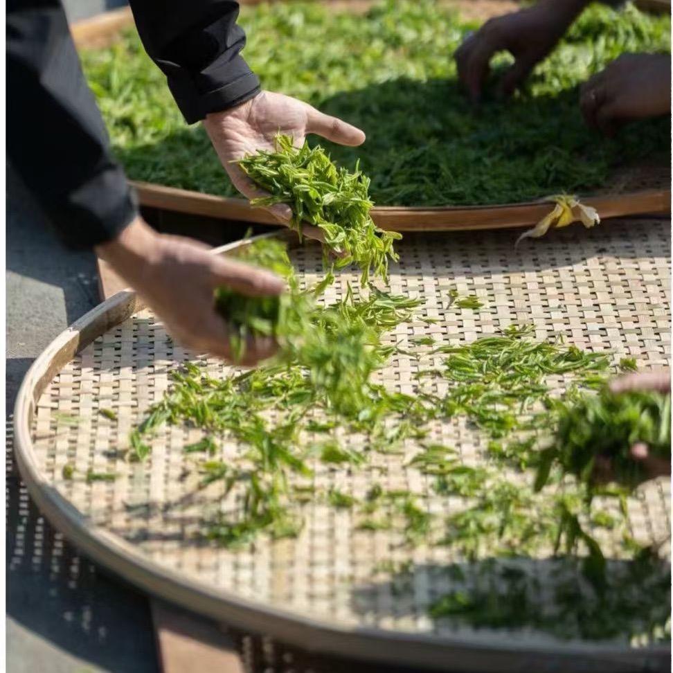 陈老家的茶