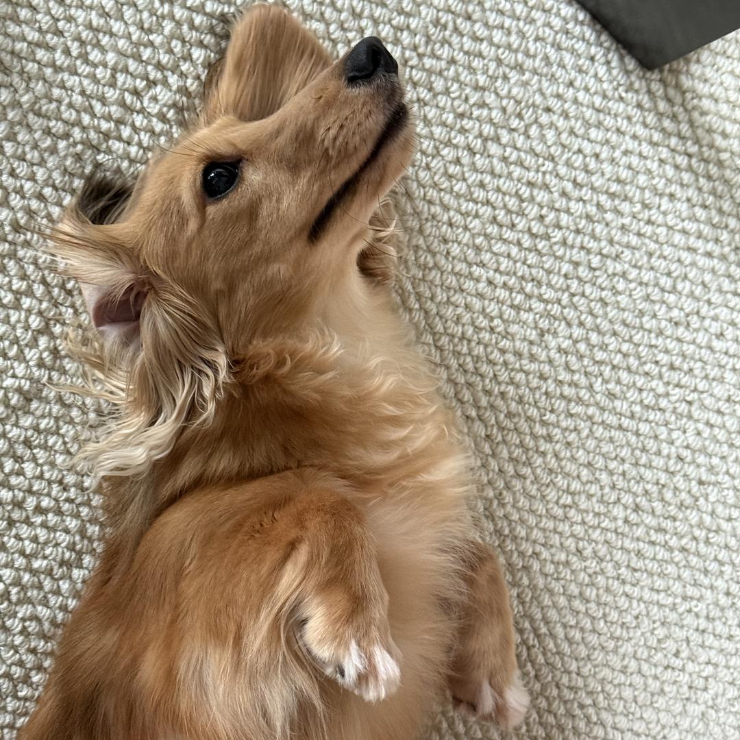 张老师甄选市集