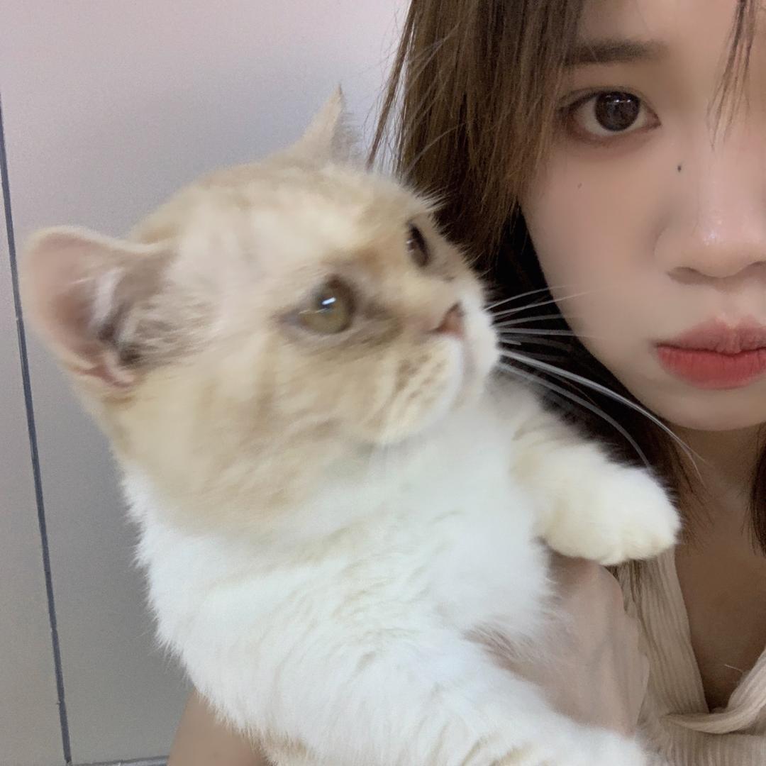 菜菜zᙆ ㅤ
