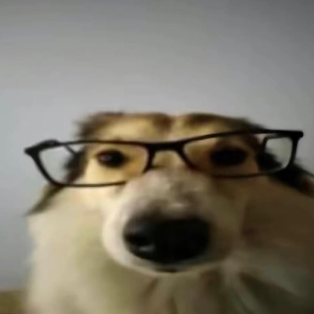 蔫巴狗
