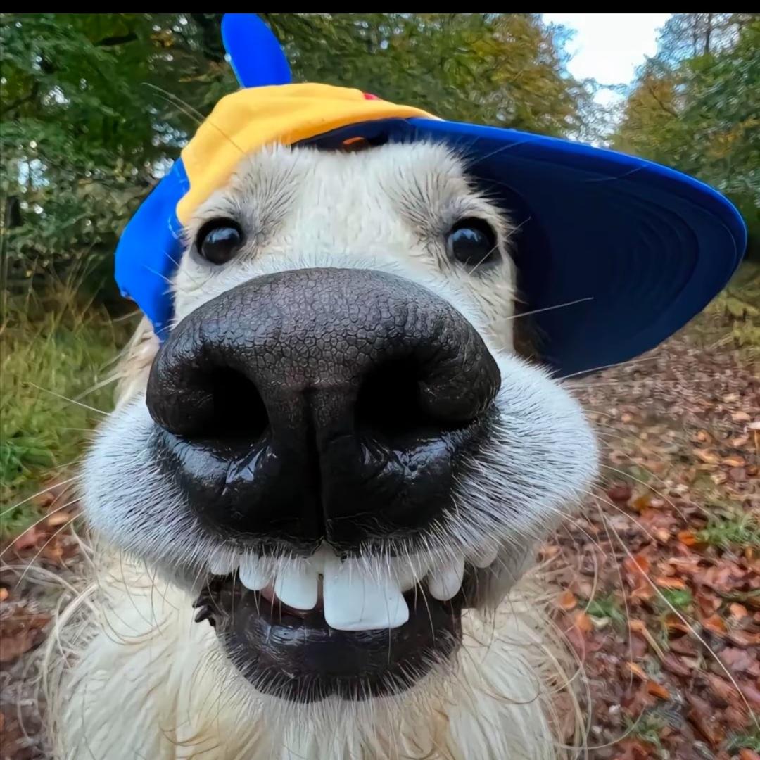 宝见💋我受你一靠子