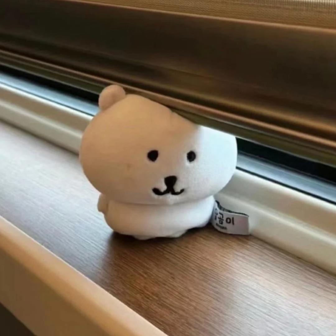 我掉了一个粉丝