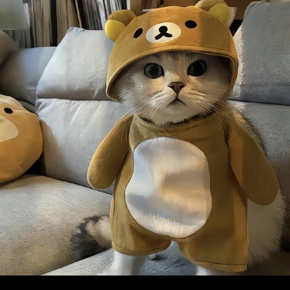 一点点而已
