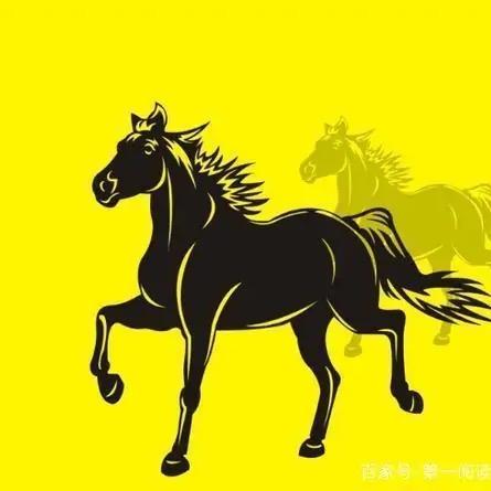 🐎云天🐎