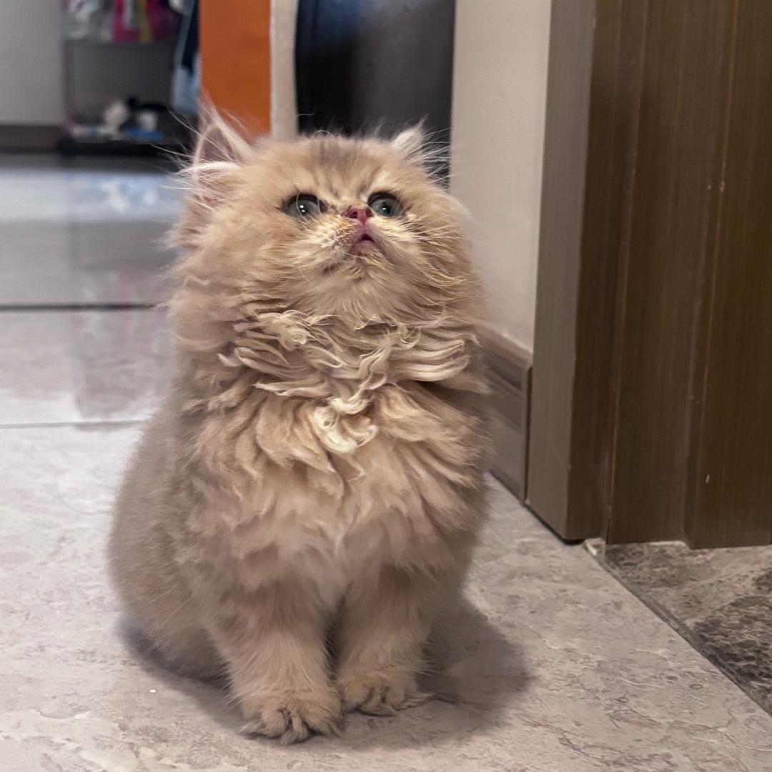 不想吃东西.