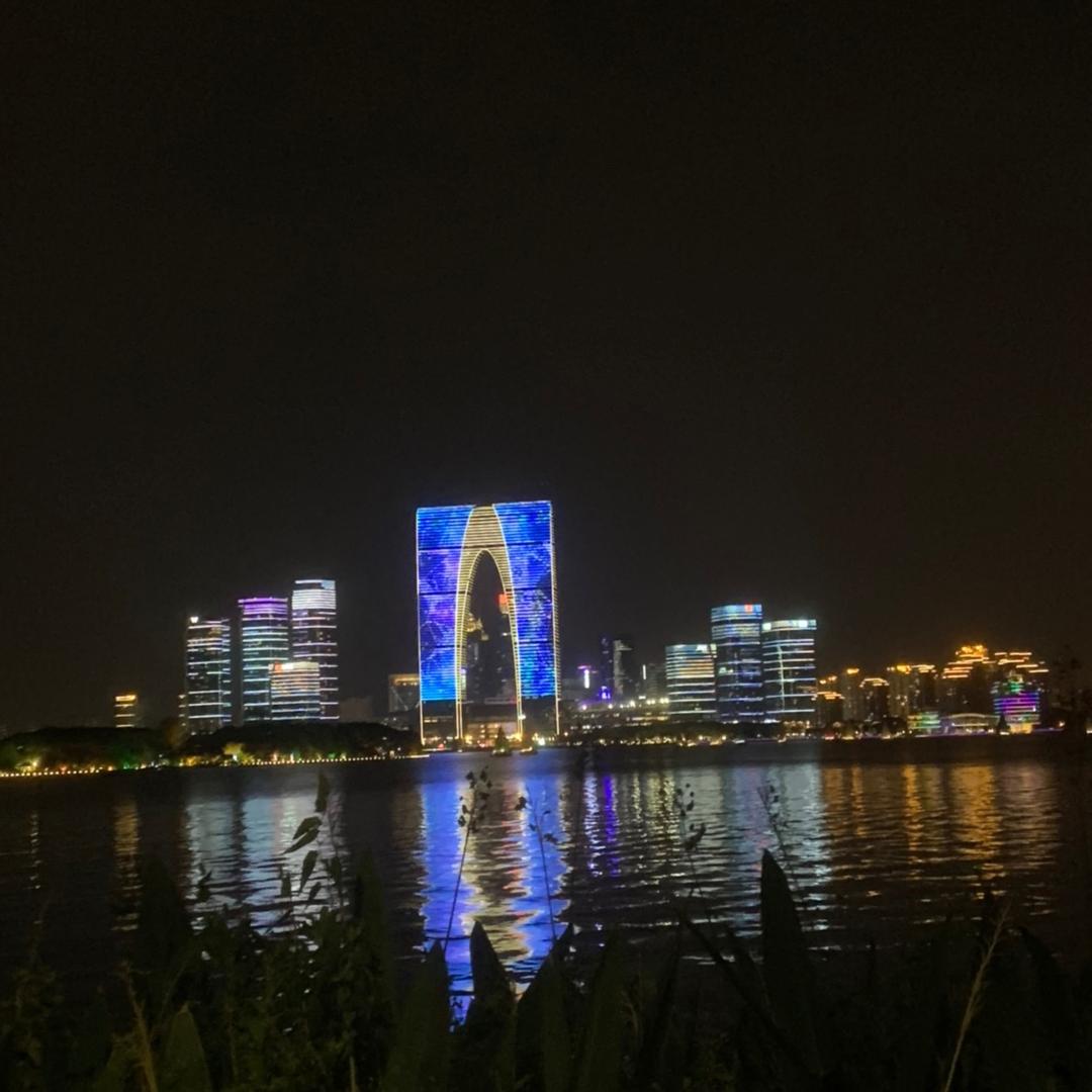 锋哥的牛马日常