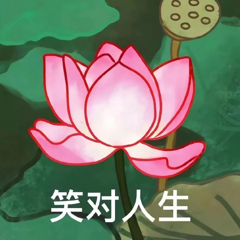 往事随风sj
