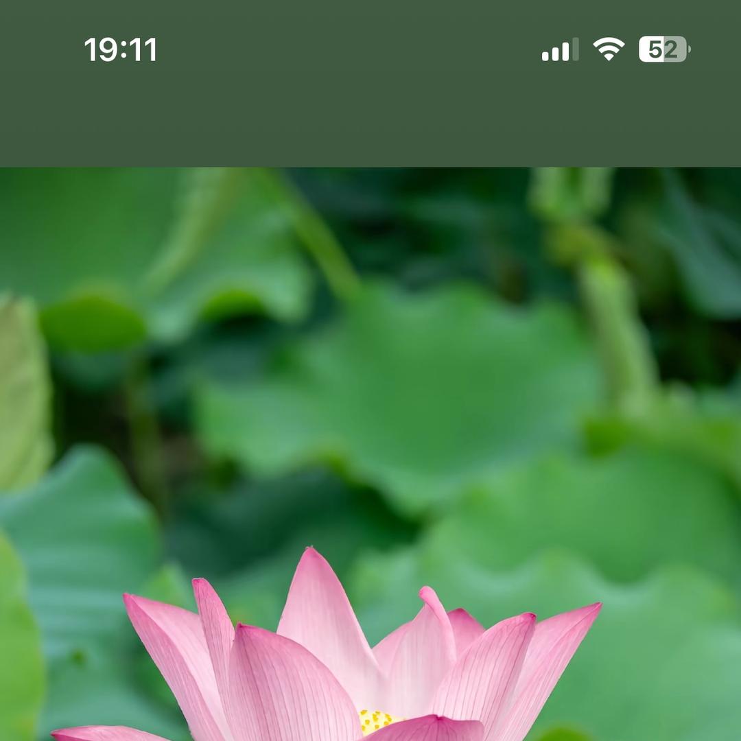 云蝉商境