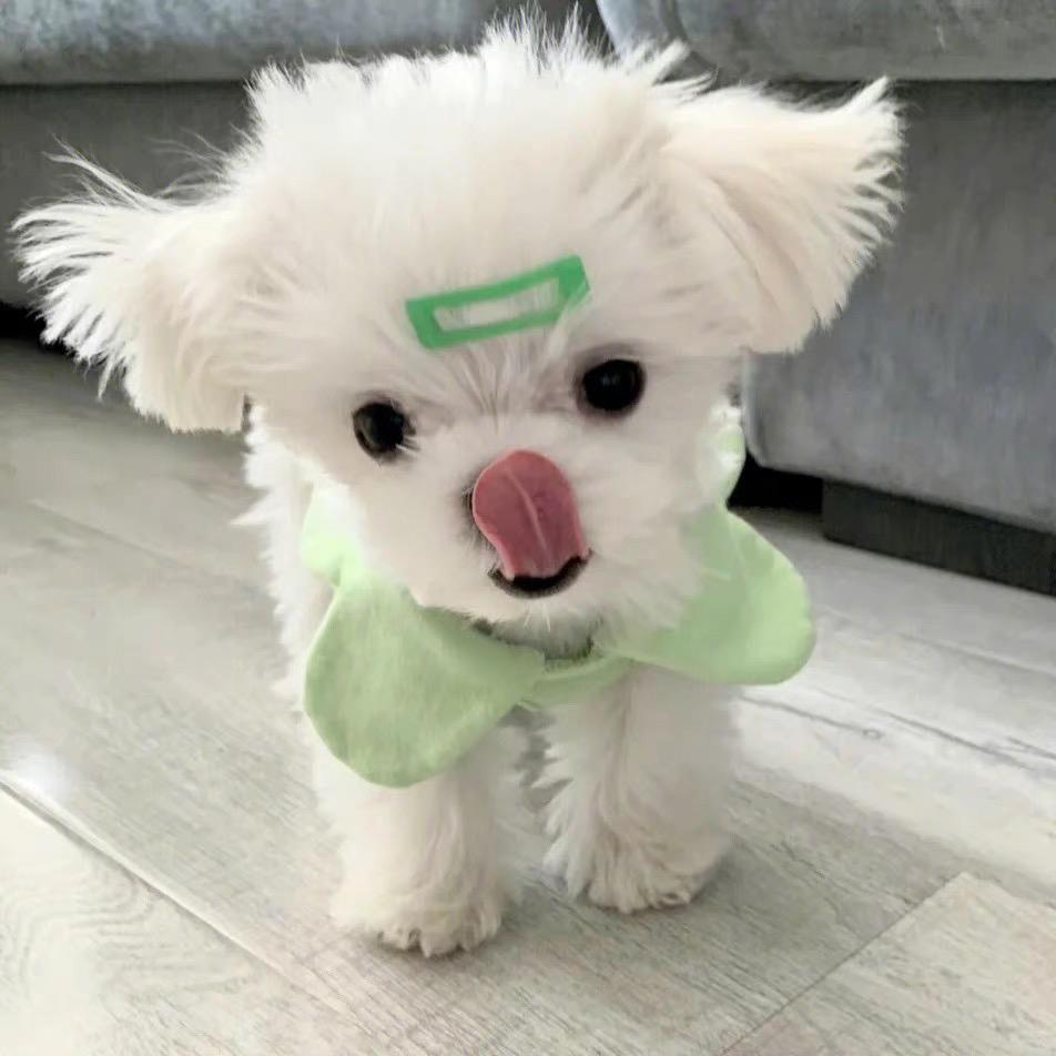 来杯咖啡☕️快乐起飞