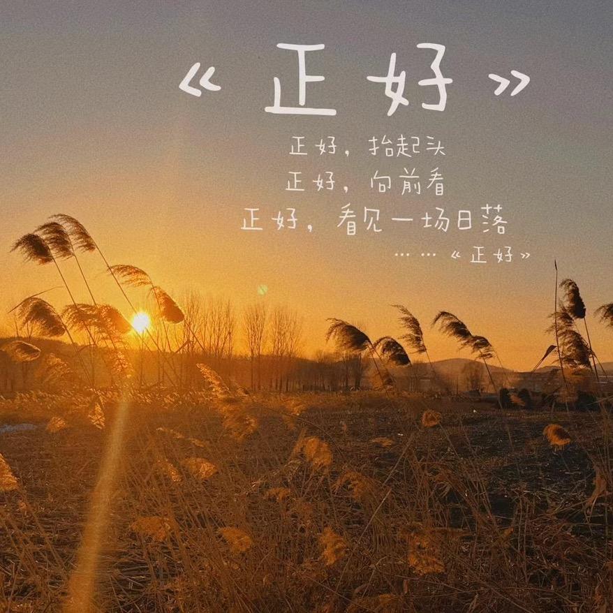 抖音王子