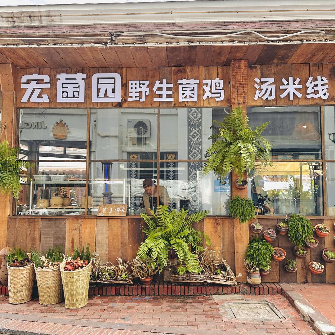 宏菌园·土罐野生菌鸡汤米线（告庄店）