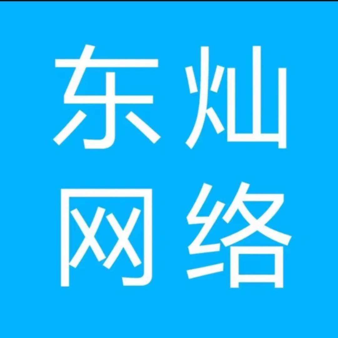 东灿网络电商陪跑-陈书记