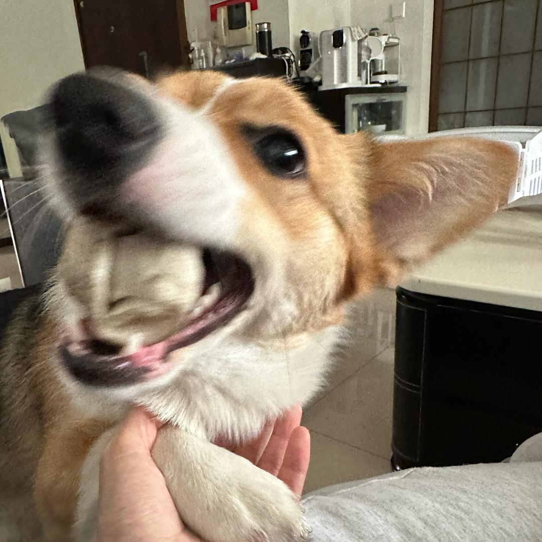 zuzu