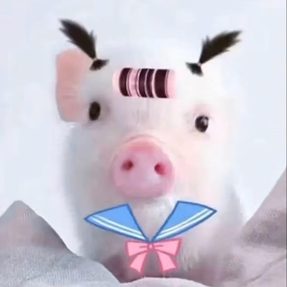 小羊.