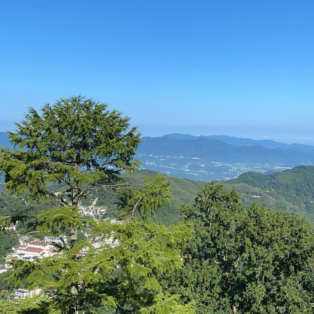 张沐