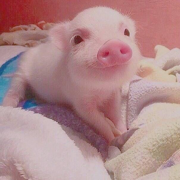 粤G～年年有余～😎