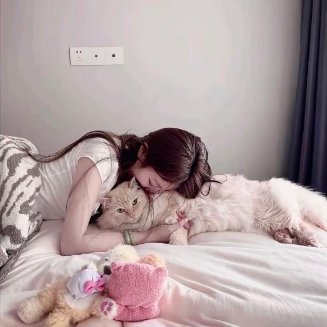 ㅤㅤㅤ       ㅤㅤㅤ