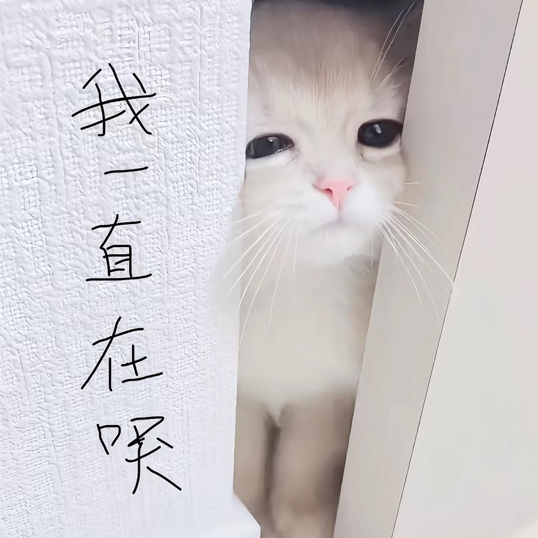 我是不会放过这个世界的