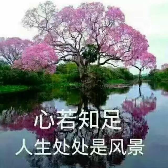 静心