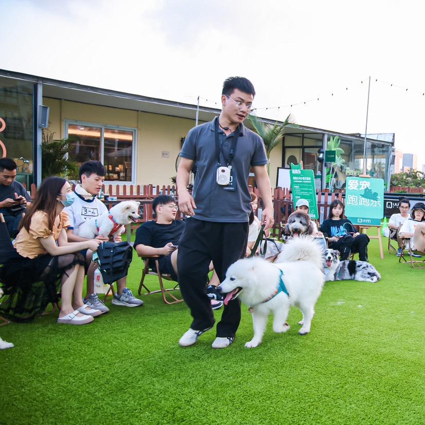 深圳深宠犬舍