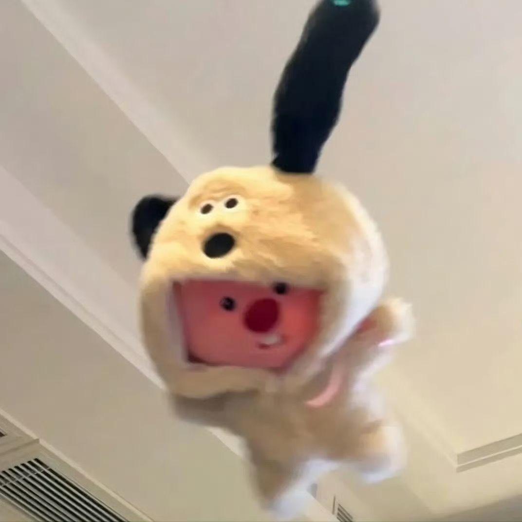 小周小周