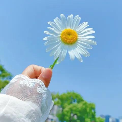 星辰🌵 若爻🌙¹🤍