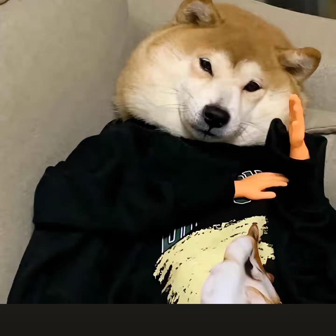 一个达不溜¿