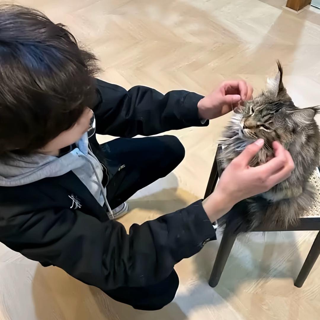 RanRan（无畏契约）