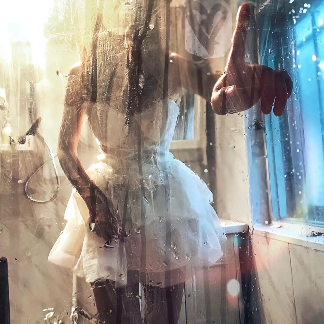 凌晨绽放的玫瑰