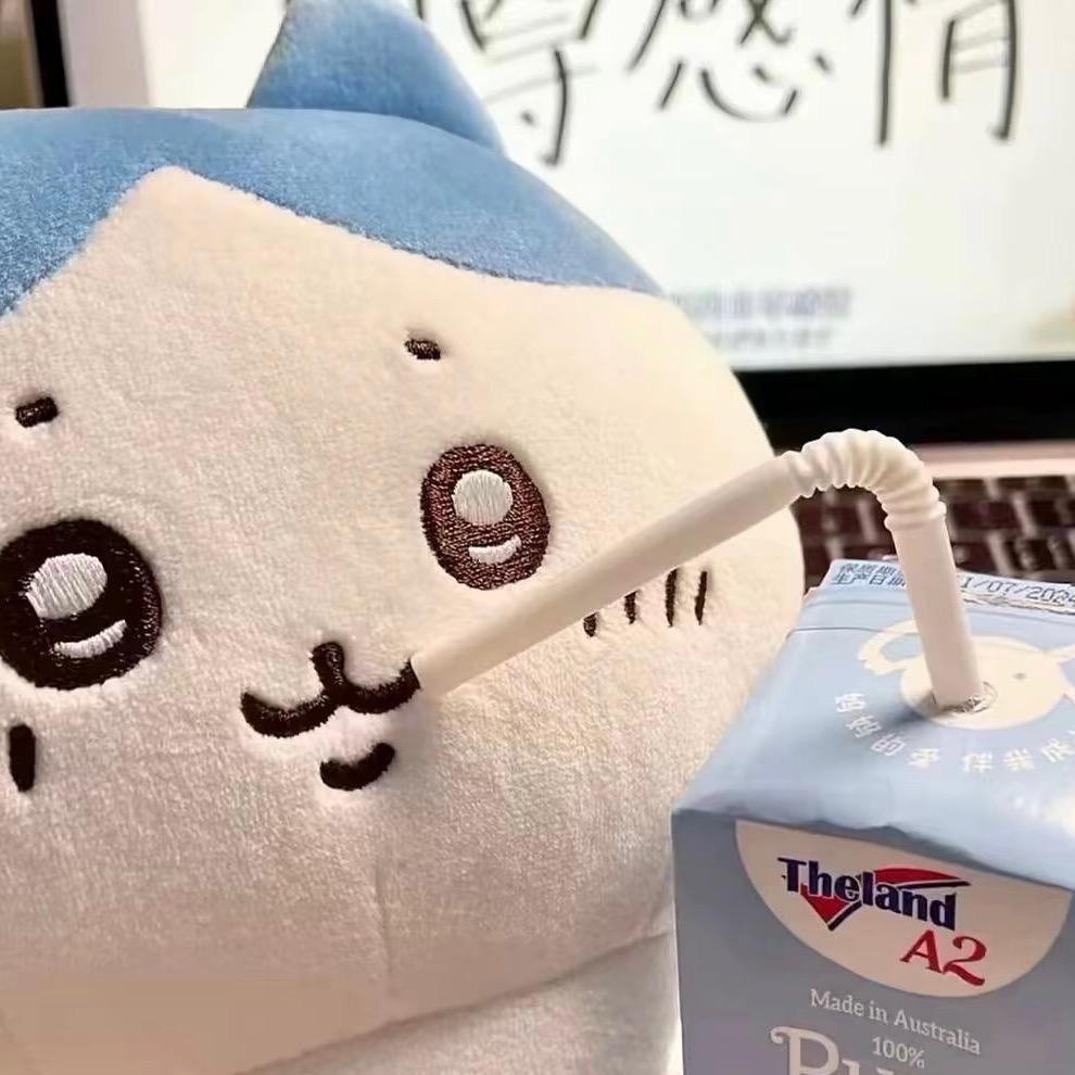 小y