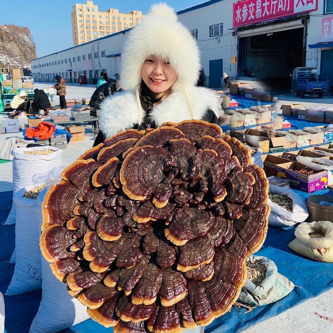 参畔长白山特产