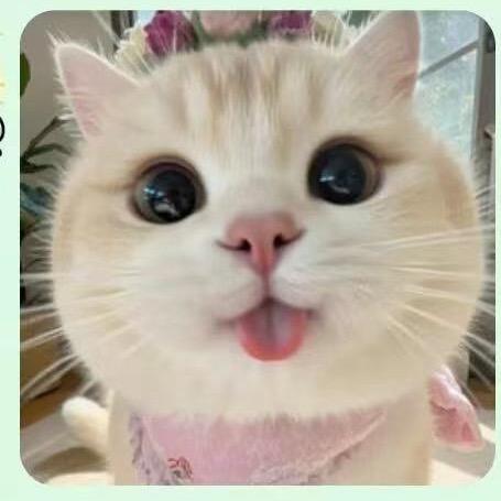 全能网瘾中年少女