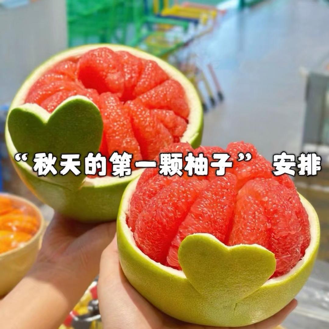 茜茜果园(产地直发)