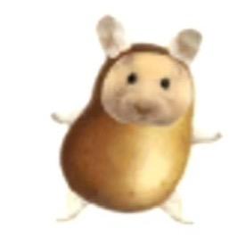 小鱼